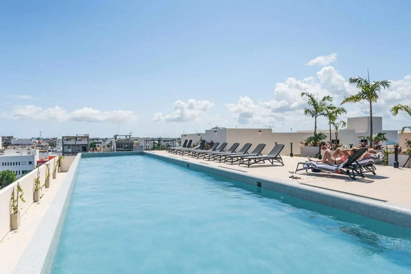 Brand New Studio Apartment In The Heart Of Pdc Playa del Carmen